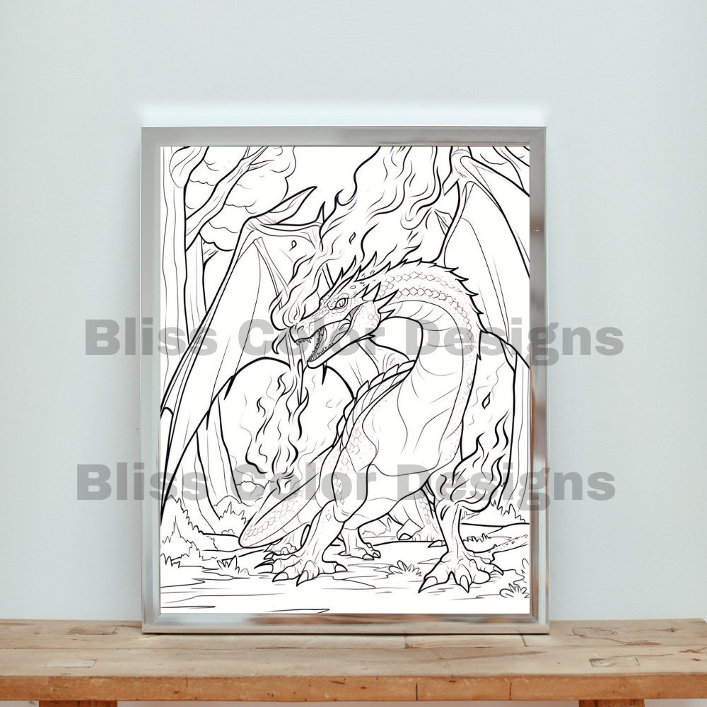 10 Fairytale Dragon Coloring Pages Digital PDF/PNG - Etsy
