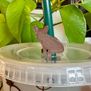 French Bulldog Straw Topper (Sitting) - Starbucks Straw