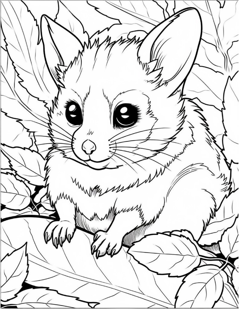 150 Cute Animal Coloring Pages for Kids, Cute Animal Coloring Pages