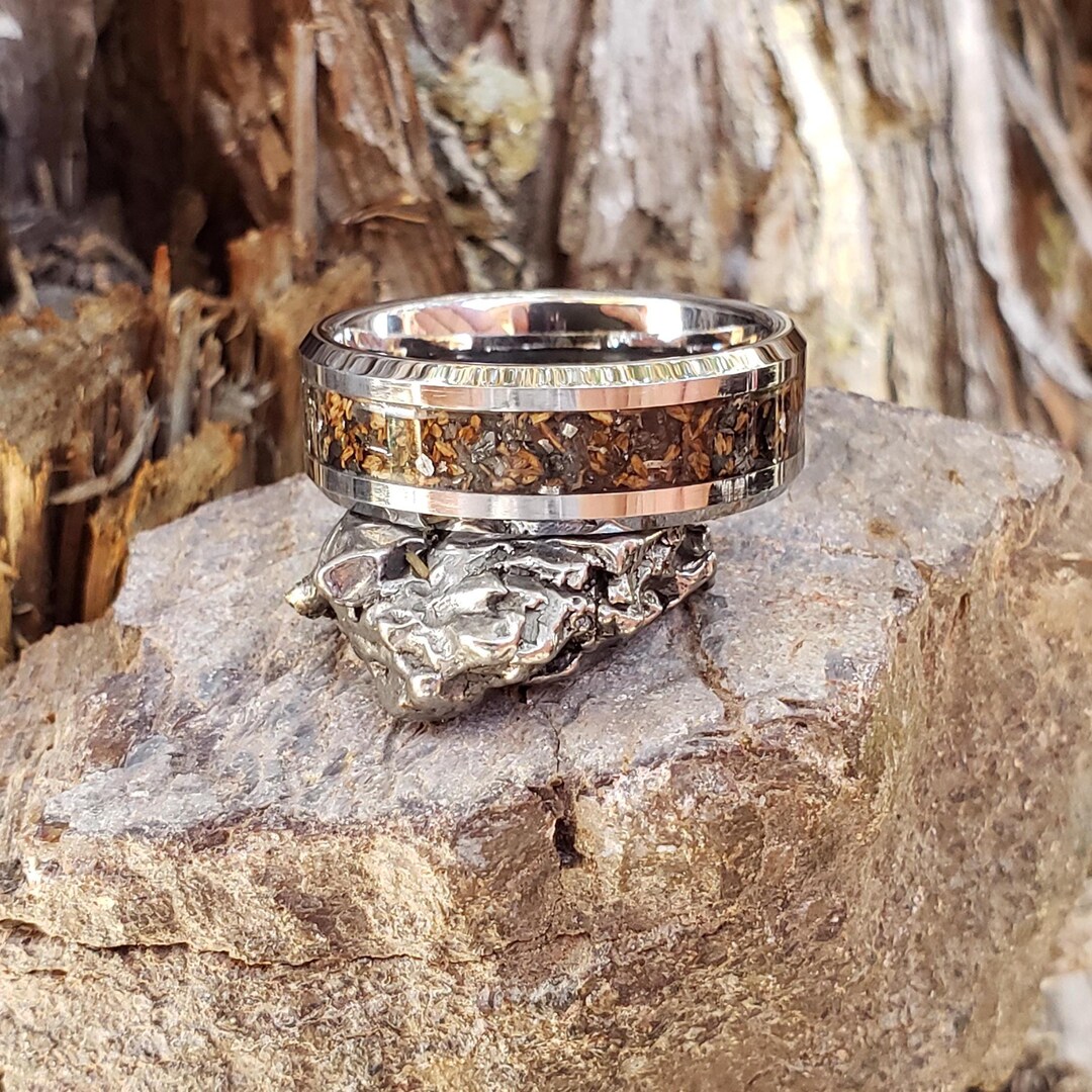 King Killer Ring - T-rex, Black Diamond, Meteorite, Tungsten Titanium ...