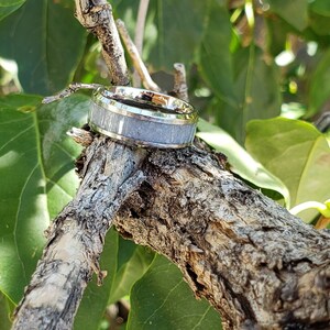 Może przedstawiać: Srebrny pierścionek z jasnoszarym wkładką. Pierścionek leży na gałęzi z zielonymi liśćmi.