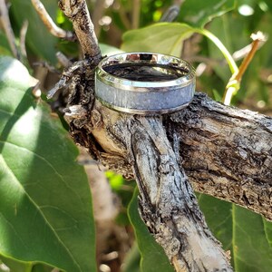 Może przedstawiać: Srebrny pierścionek z szarym wkładką, leżący na gałęzi drzewa.