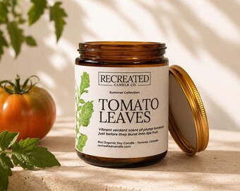 Tomate Blätter Sommer Soja Kerze