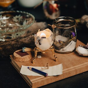 Botanical Wax Wrapped Light Shells