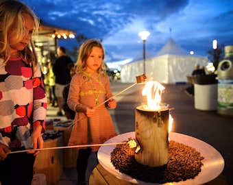 OneLogFire 2-Pack: Juego de leños portátiles para fogatas