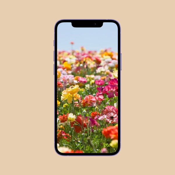 15 vidéos story fleurs - fête des mères-  15 flowers stories - Instagram