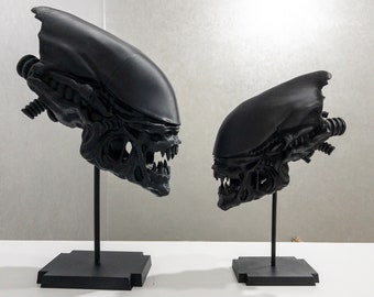 Puede incluir: Dos bustos de cráneos alienígenas impresos en 3D de color negro sobre soportes negros. El busto más grande está a la izquierda y el más pequeño a la derecha. Ambos bustos tienen detalles precisos y están mirando hacia adelante.