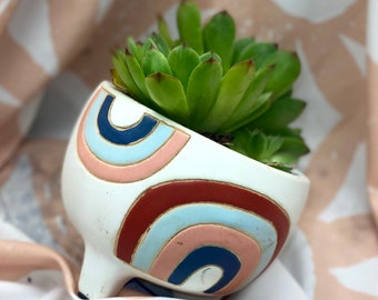 Rainbow Pot with Hens and Chicks Flowering Succulent - Sempervivum Tectorum