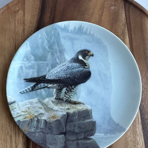 May include: A decorative plate featuring a detailed illustration of a falcon perched on a rocky outcrop. The bird has gray and white plumage, a yellow beak, and is set against a misty mountain backdrop. The plate is round and has a glossy finish.