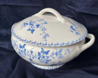 Baby Blue Flower Soup Tureen