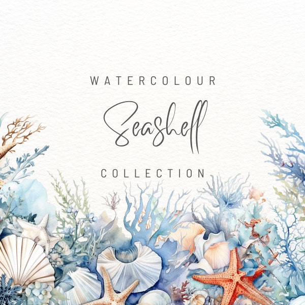 Watercolour Seashell Clipart | 24 PNG Format | Watercolour Clipart | Seashell Clipart | Commercial Use | Instant Download