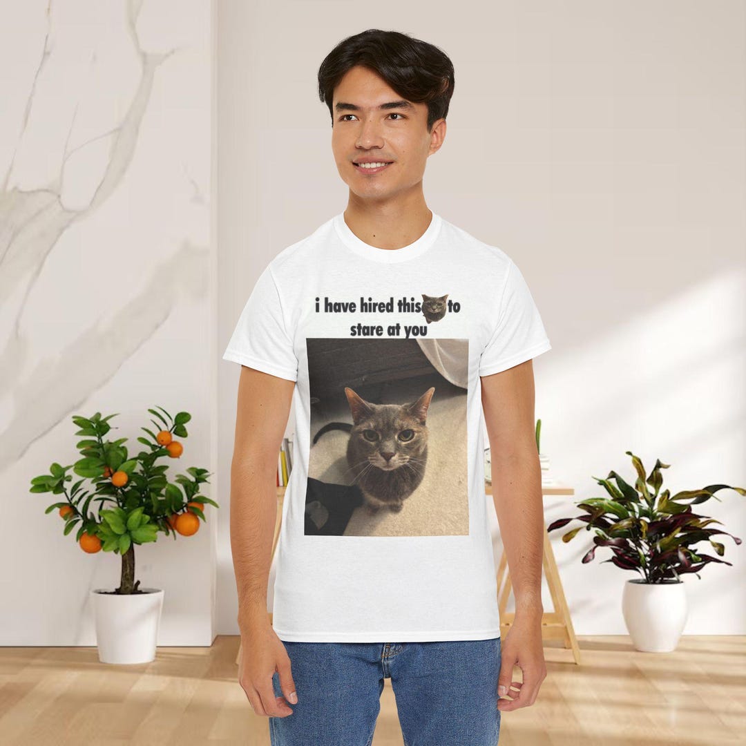 I Have Hired This to Stare at You Cat Tee Funny Cat Photo Tshirt Etsy