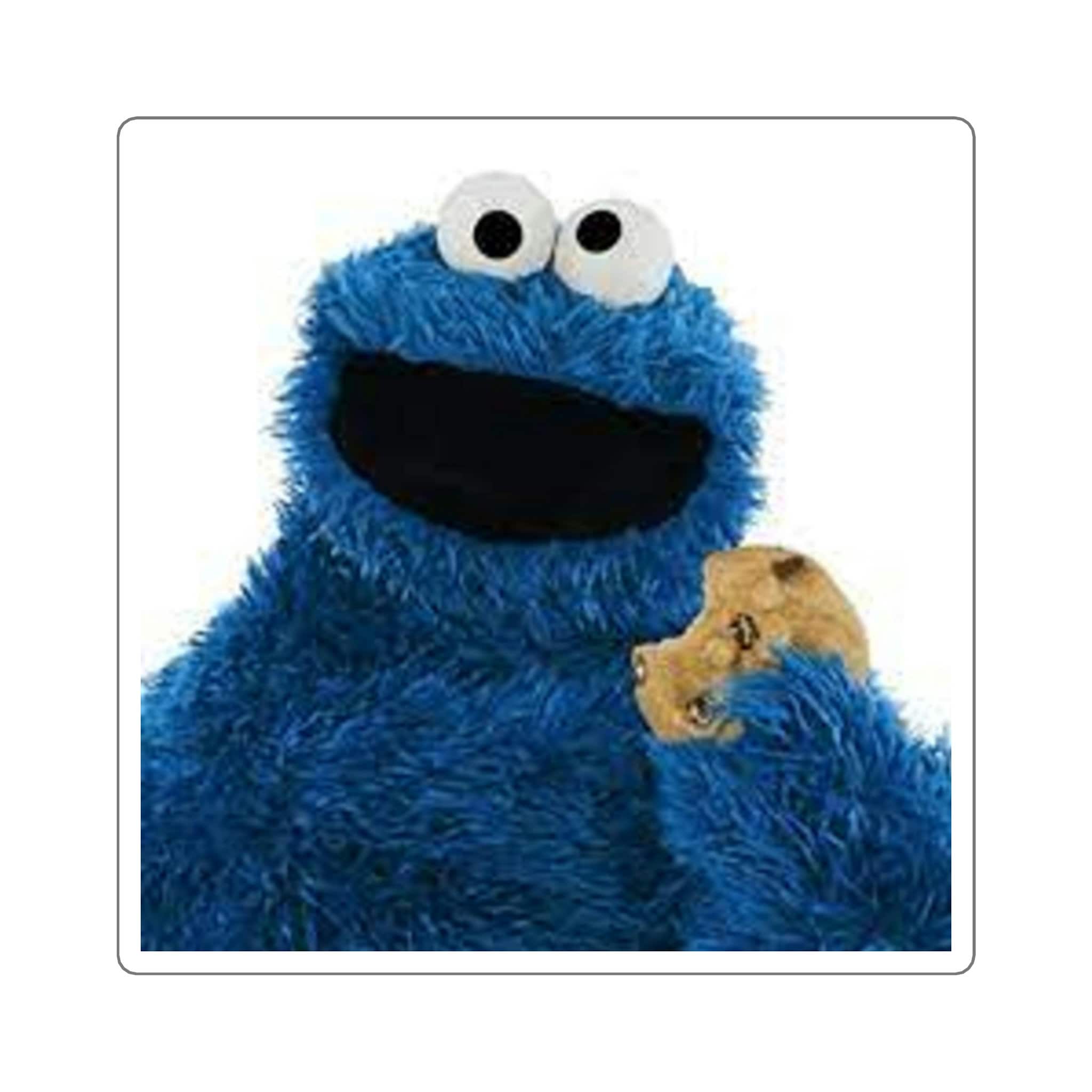 The Cookie Monster From Sesame Street LARGE 