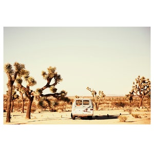 Joshua Tree Print | Desert Dreamscape Photo | Palm Springs Print | Desert Landscape Photo | California Photo | American Southwest Wall Art