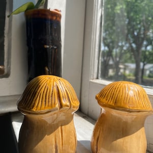 Vintage Mushroom Salt and Pepper Set