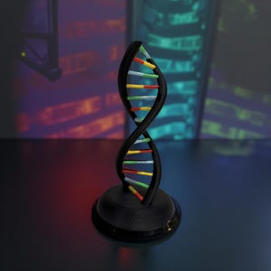 DNA model free stands 3d printed