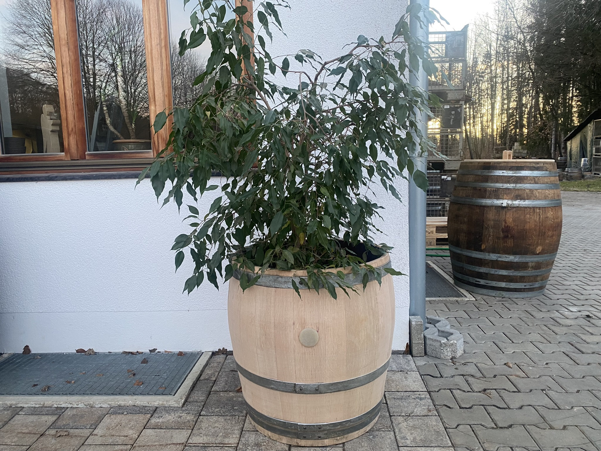 Weinfass blumentopf - Etsy.de