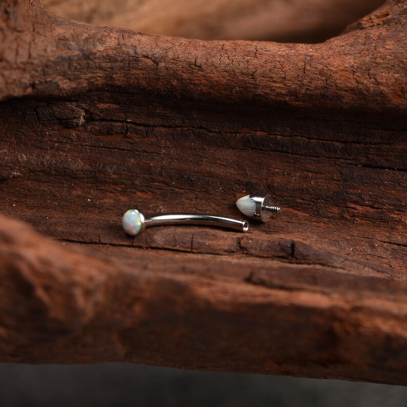 Curved Barbell Vertical Labret Bridge Eyebrow Rings G23 Titanium