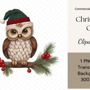 Coruja de Natal Clipart PNG - Coruja festiva de férias com chapéu de Papai Noel, fundo transparente de 300 DPI