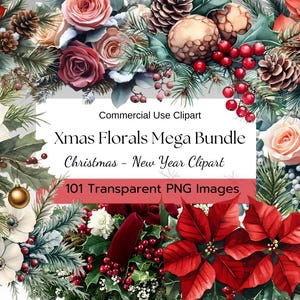 Megabundel met kerstbloemen clipart – 101 png kerst bloemenillustraties | Transparante vakantiebloemenafbeeldingen voor kaarten, knutselen en decoratie