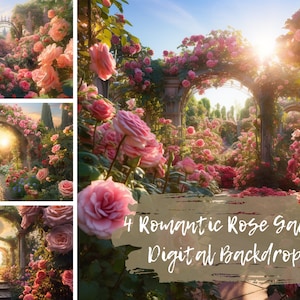 Imagens românticas de cenário digital de jardim de rosas, imagens românticas de jardim de rosas, pôr do sol em imagens de jardim de rosas para Photoshop