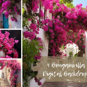 Bougainvillea Clipart Png, Bougainvillea Tree Rooftop Images, Bougainvillea Picture Images for Photoshop