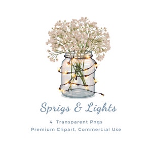 Schleierkraut Blumenstrauß in Einmachglas Clipart, Blumenhalter Dekor, Schleierkraut Transparent PNG, 300 DPI, 4000 px, persönlicher und kommerzieller Gebrauch