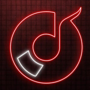 Vinyl Record Neon Sign, Vinyl Record LED Light, Music Club Wall Art, DJ Room Wall Decor, Music Room Neon Light, Cafe and Bar Neon Sign