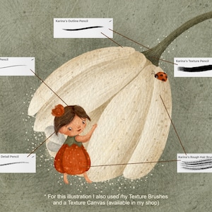 May include: An illustration of a fairy in a red dress and wings, next to a large white flower. A ladybird sits on the flower. Text labels show brush types: Outline, Detail, Texture, and Hair. The text also mentions texture brushes.