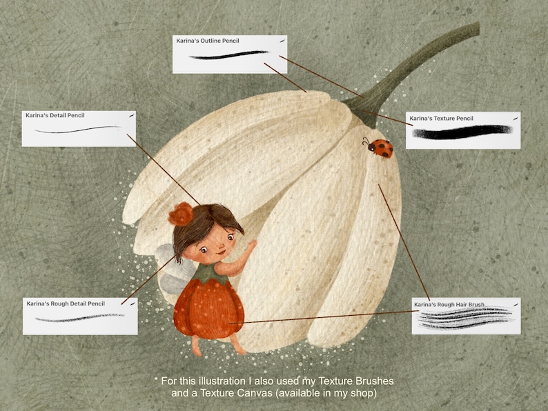May include: An illustration of a fairy in a red dress and wings, next to a large white flower. A ladybird sits on the flower. Text labels show brush types: Outline, Detail, Texture, and Hair. The text also mentions texture brushes.