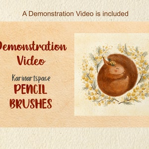 May include: An illustration of a brown squirrel curled up in a wreath of yellow flowers. The text "Demonstration Video" and "Pencil Brushes" is displayed in a dark red font. The artist's name, "Karinartspace", is also included.