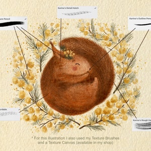 May include: Digital artwork featuring a curled-up squirrel encircled by yellow flowers. The image highlights different brush styles, including "Karina's Texture Pencil", "Karina's Medium Scribble", "Karina's Detail Hatch", "Karina's Outline Pencil", and "Karina's Rough Hair Brush".