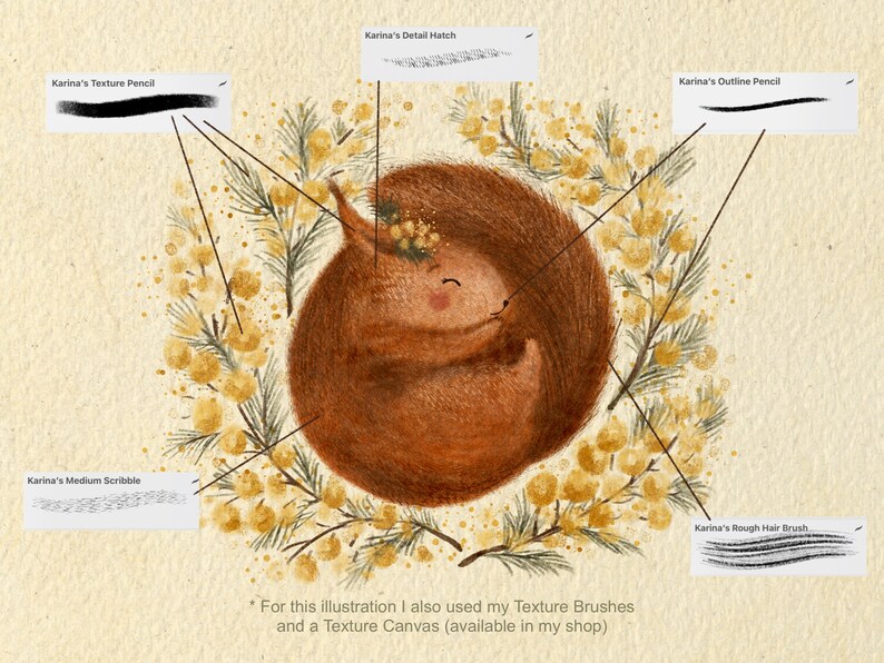 May include: Digital artwork featuring a curled-up squirrel encircled by yellow flowers. The image highlights different brush styles, including "Karina's Texture Pencil", "Karina's Medium Scribble", "Karina's Detail Hatch", "Karina's Outline Pencil", and "Karina's Rough Hair Brush".