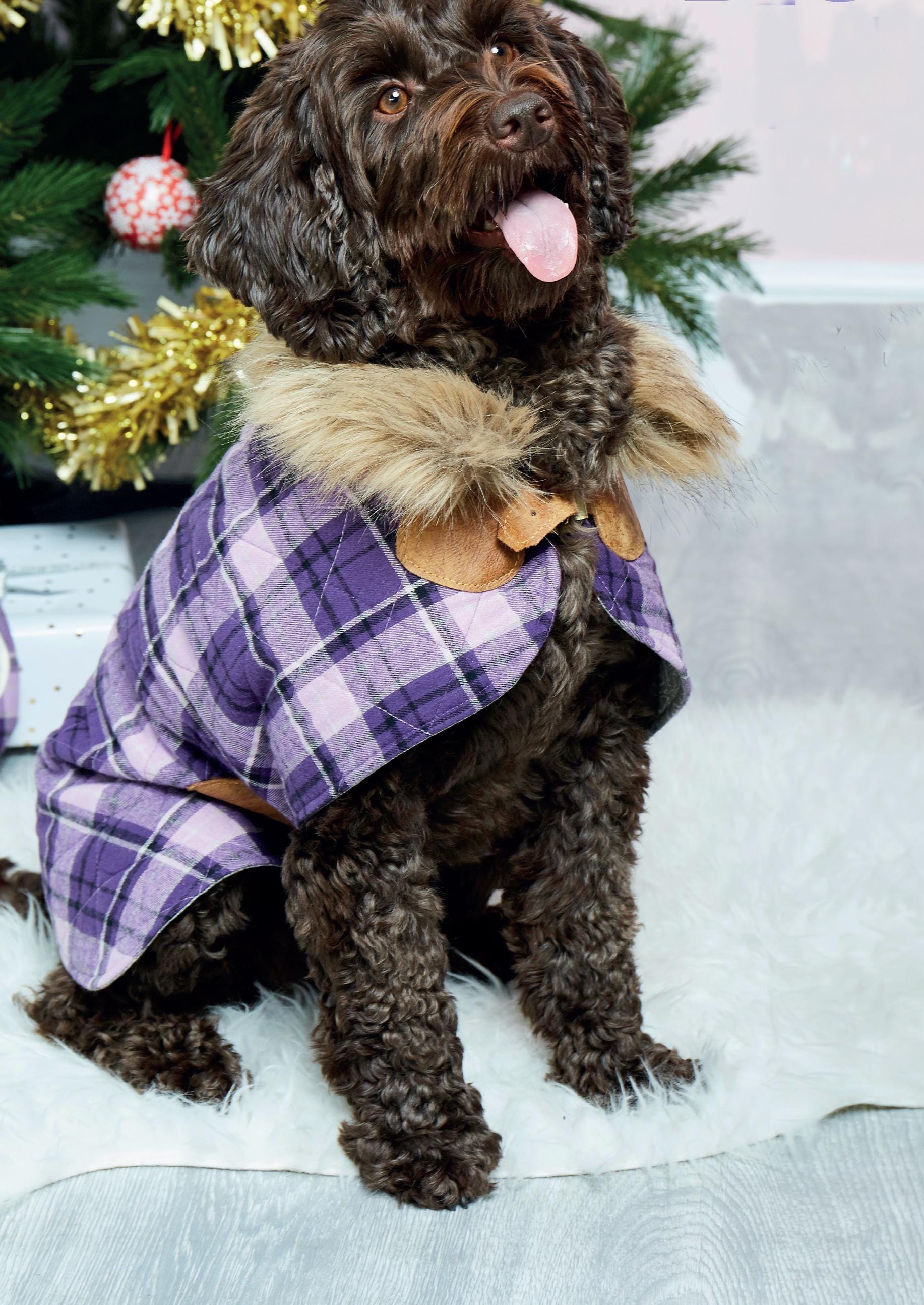 DOGGIE DESIGN Biker Dawg Motorrad-Hundejacke – Größe XS, Farbe Rosa, Mit Vintage-Motorrad-Stickerei