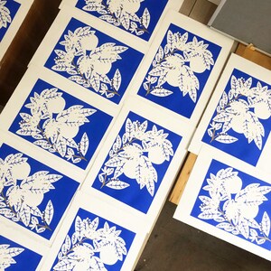 May include: A stack of white cards with a blue background and a white silhouette of a citrus tree with fruit. The cards are arranged in a staggered pattern.