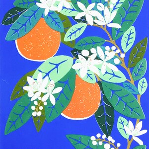 May include: A stylized illustration of an orange tree with two oranges and white blossoms on a bright blue background. The leaves are green and the oranges are orange with a textured surface.