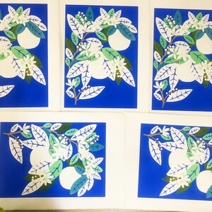 May include: Five blue cards with white illustrations of orange blossoms and fruit. The cards are arranged in two rows, with three cards in the top row and two cards in the bottom row.