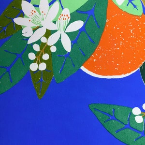 May include: A close-up of a bright orange citrus fruit with white blossoms and green leaves on a blue background.