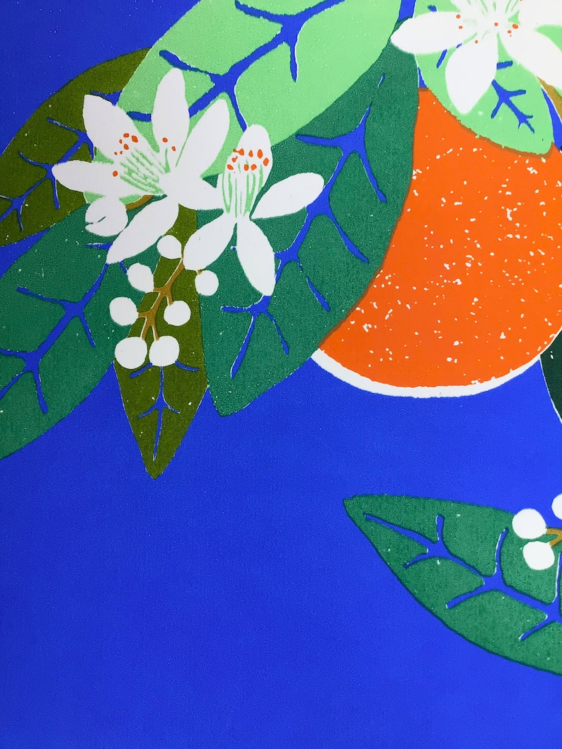 May include: A close-up of a bright orange citrus fruit with white blossoms and green leaves on a blue background.