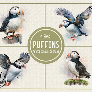 Macareux oiseau | Clipart aquarelle animale peinte | Fond transparent PNG | Pour la sublimation, l'impression, la fabrication de cartes 4 PNGS