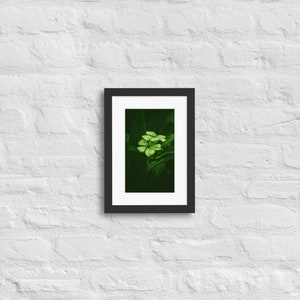 Green flower on dark background