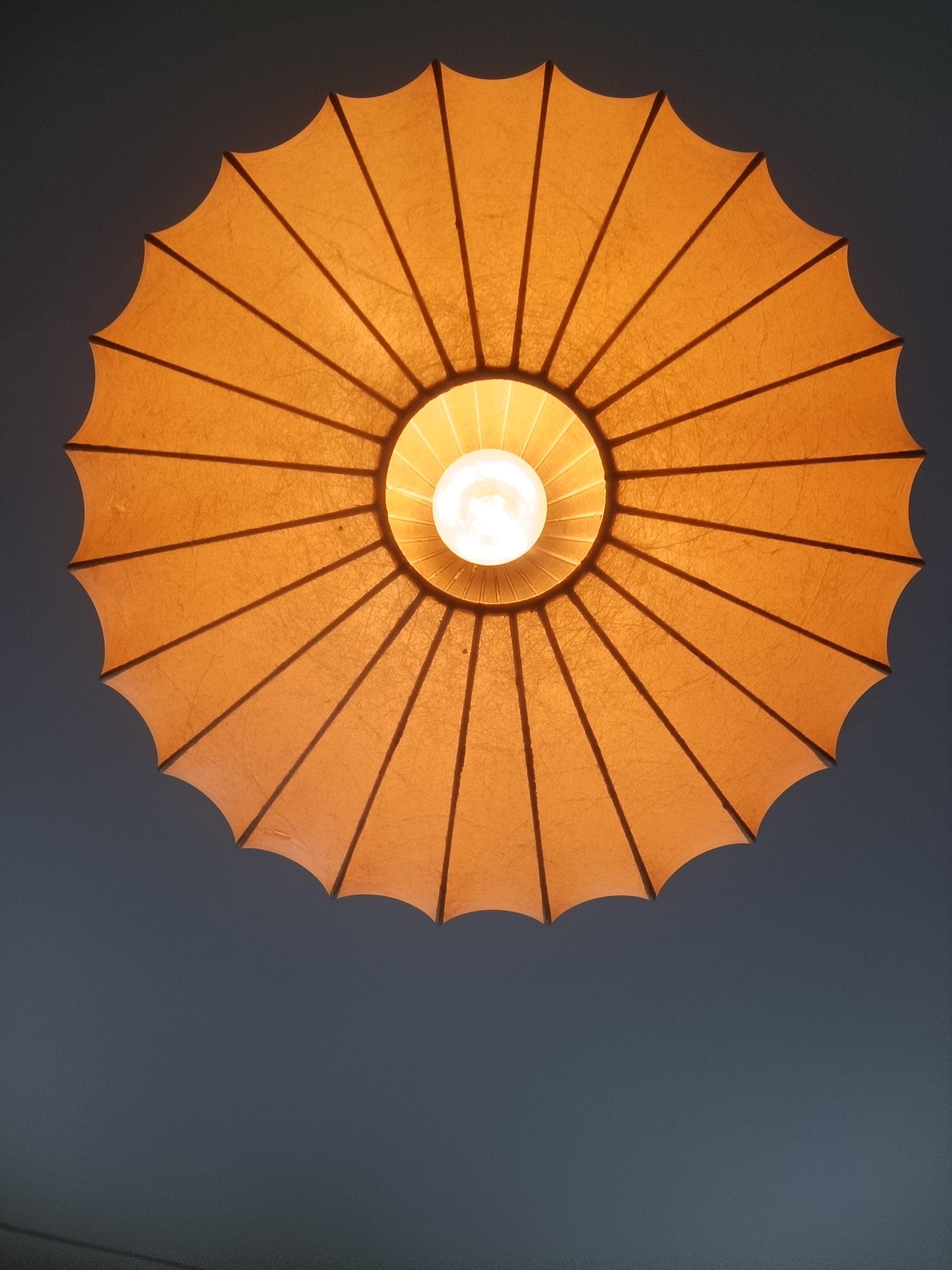 Vintage Rare Midcentury Cocoon Pendant Lamp by Friedel Wauer for
