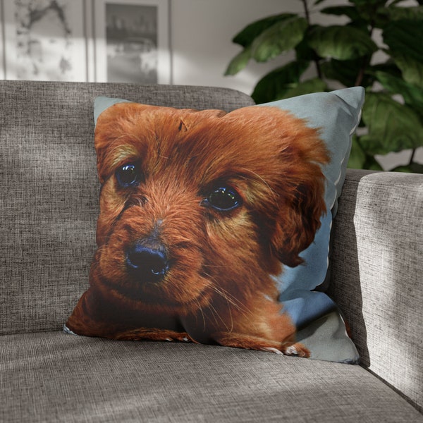 Dog Pillow Case Etsy