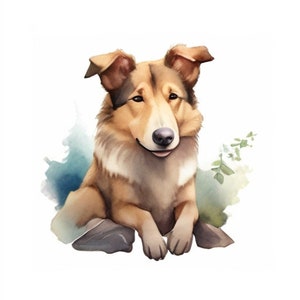 Smooth Collie Prints, Collie Wall Art, Sable Collie Art, Watercolor Dog Art, Dog Lovers Gift, Collie Decor, Dog Breed Art, DIGITAL DOWNLOAD