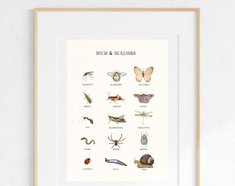 Educational Bugs Poster, Insects Print, Vintage Watercolor, Printable Wall Art, Montessori Homeschool, Classroom Decor, DIGITAL DOWNLOAD
