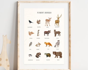 Educational Animal Poster, Nursery Wall Art, Animal Nursery Decor, Printable Wall Art, Montessori Homeschool Decor, DIGITAL DOWNLOAD
