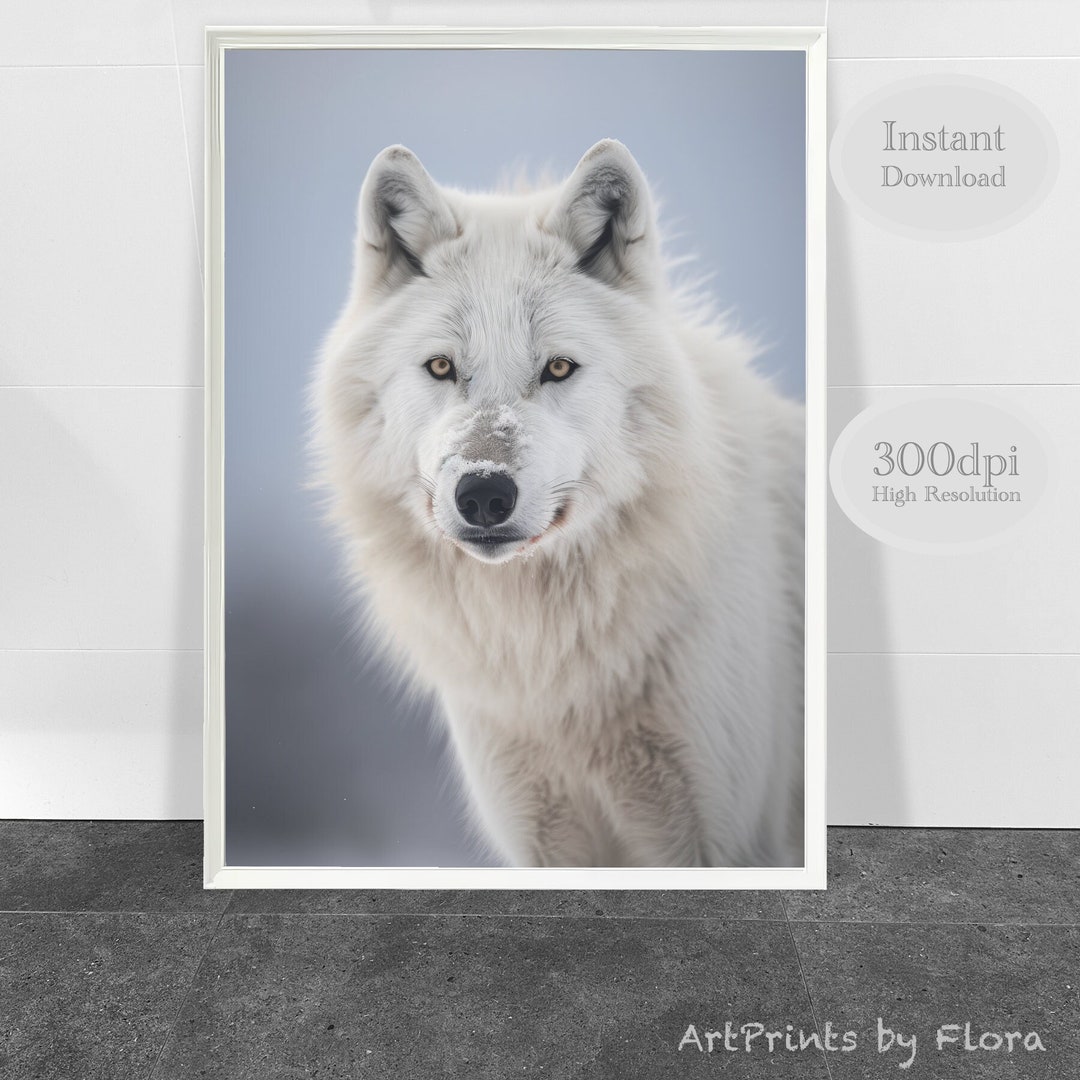 Arctic Wolf Wall Art Arctic Wolf Print Arctic Photography - Etsy