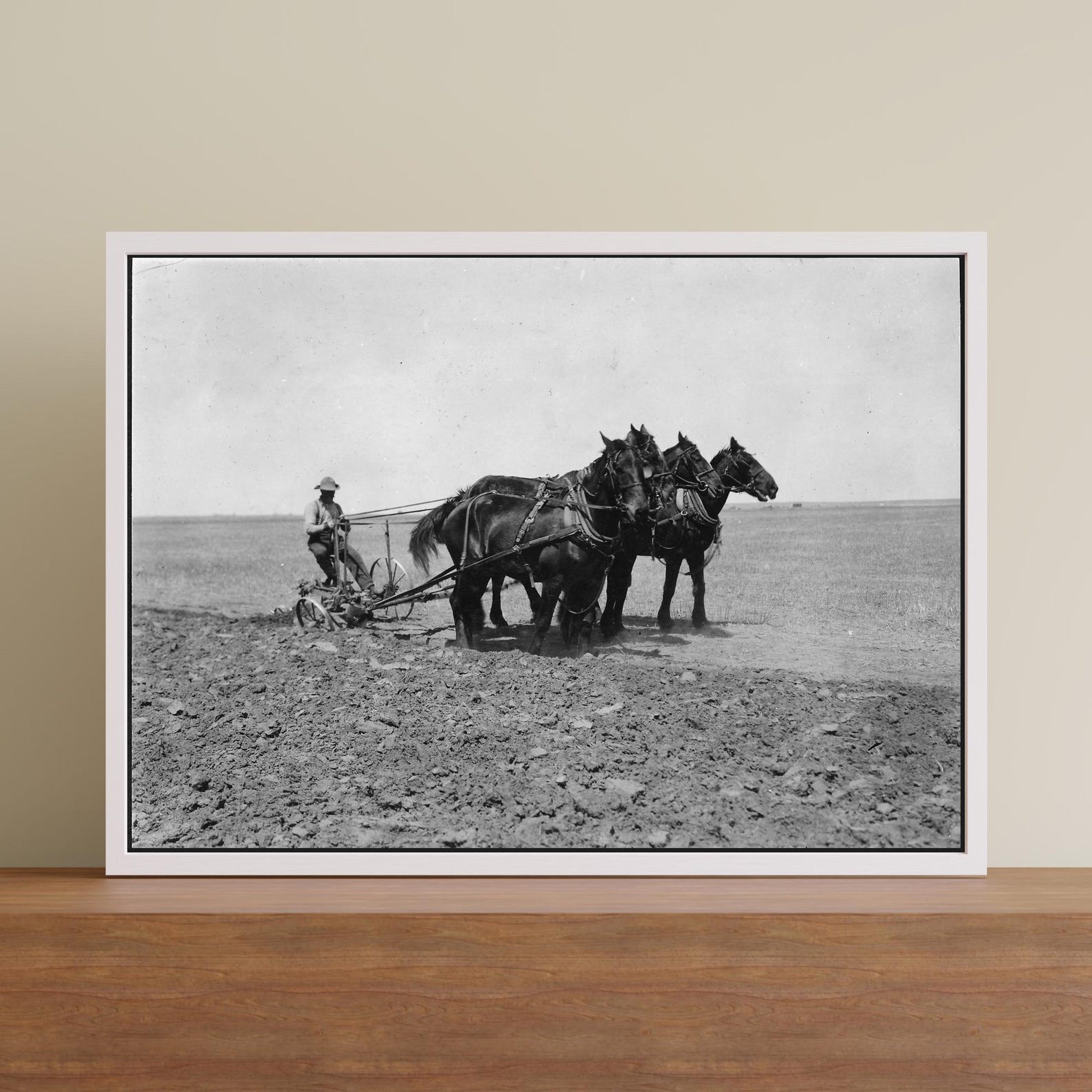 Ploughing With Horses Wall Art Vintage Farm Black and White Photo ...
