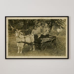 Geitenkar met kinderen muurkunst grappige oude vintage foto schattig historisch zwart-wit beeld retro fotografie AFDRUKBARE DIGITALE DOWNLOAD