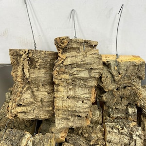Cork Bark Orchid Mount - Tropical Plant Hanger - Cork Bark Hanger - Terrarium / Viavarium Plant Mount Hanger